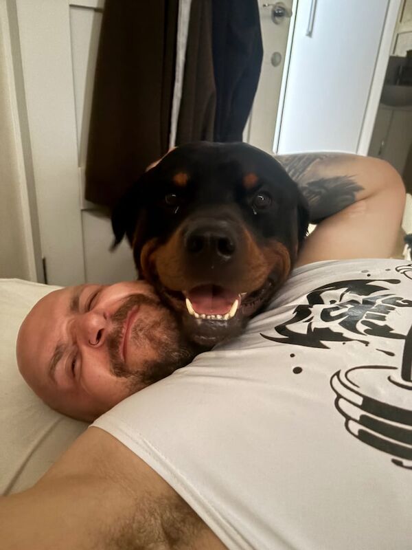 Rottweiler puppies for sale in Addlestone, Surrey – 5 years old