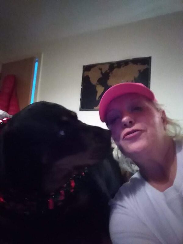 Rottweiler puppies for sale in Blackpool, Lancashire – KC registered, 6 years old - Image 2 of 3