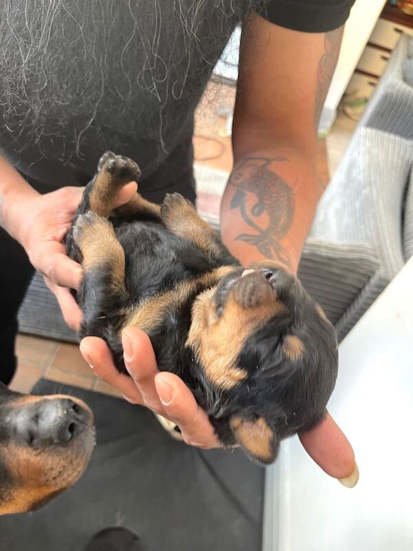 Mr & Mrs - Image 2 of 3