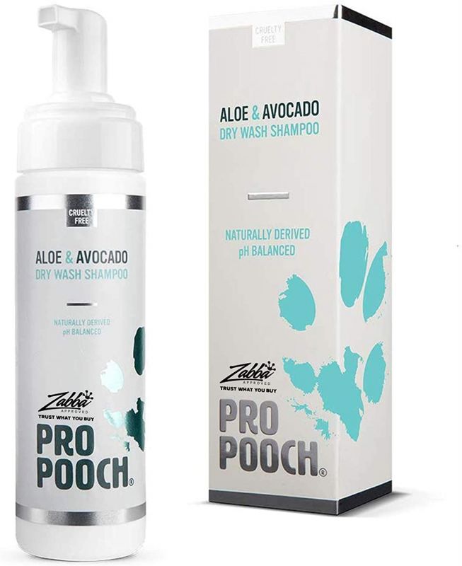 Rottweiler shampoo top