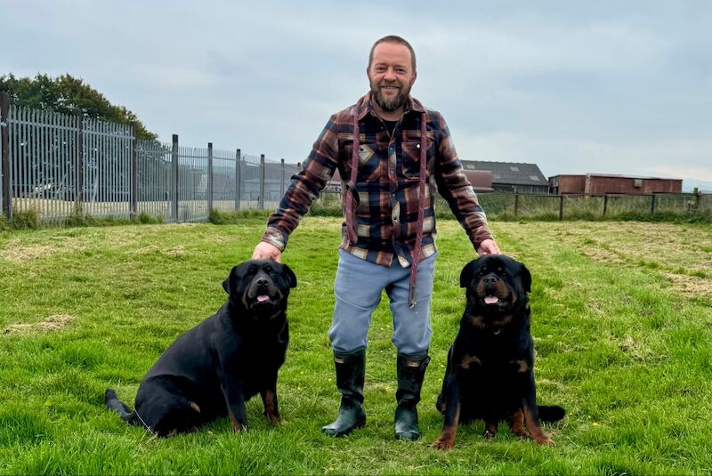 Westshields Rottweilers - Rottweiler Breeder - Image 6